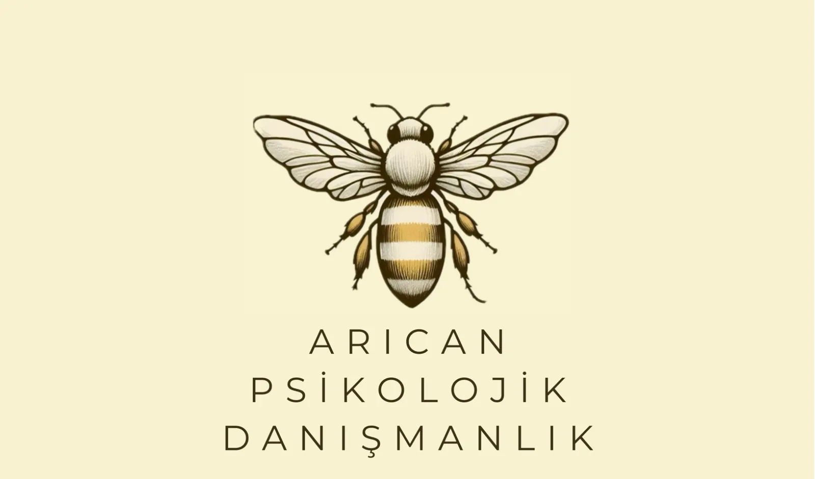 Arıcan Psikolojik Danışmanlık – fotoğraf 1